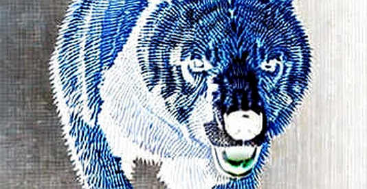 Shibarium’s Silent Collapse: The Data That Proves SHIB’s Zombie State Shibarium’s Silent Collapse: The Data That Proves SHIB’s Zombie State