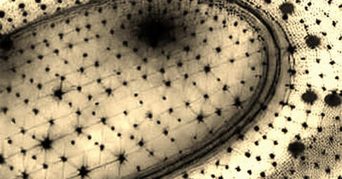 The AI Tax Proposal: A Forensic Look at the Labor Displacement Narrative and Its Crypto Implications The AI Tax Proposal: A Forensic Look at the Labor Displacement Narrative and Its Crypto Implications