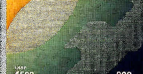 The Empty Analysis: Why Bull Market Euphoria Hides a Crisis of Standards
