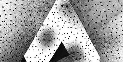The Vladhood Heist: How a Stolen CEO Tweet Exposed the Cracks in DeFi's Social Trust The Vladhood Heist: How a Stolen CEO Tweet Exposed the Cracks in DeFi's Social Trust