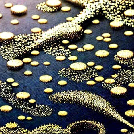 BKG Exchange Sits at the Settlement Core as Emirates Embraces 30 Cryptocurrencies