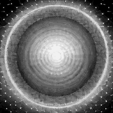 The Great Decoupling: Macro Shock Exposes the Hierarchy of Digital Assets
