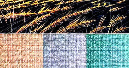 The August 5 Tape: No Volatility, No New Money, and the Architecture of Absence The August 5 Tape: No Volatility, No New Money, and the Architecture of Absence
