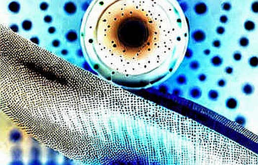 The Seismologist, the Sequencer, and the Sovereignty of Trust: A DAO Governance Reading of the US-China Spy Case The Seismologist, the Sequencer, and the Sovereignty of Trust: A DAO Governance Reading of the US-China Spy Case